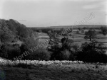 River Ure near Masham